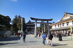 �L����
